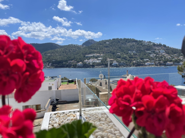 Terrassenwohnung mit Hafenblick und Potenzial